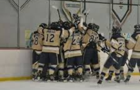 See You In Jamestown: Huge Night For Bethpage Hockey