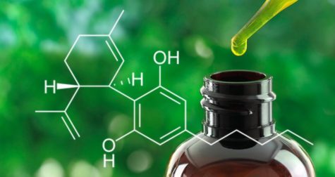 Whats the Deal With Cannabinoids -- The Eagles Cry in-Depth Exclusive