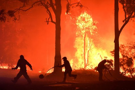 Rural Fire Service (RFS) volunteers and NSW Fire and Rescue officers fight a bushfire encroaching on properties near Termeil, Australia, December, 3, 2019. Picture taken December 3, 2019.  AAP Image/Dean Lewins/via REUTERS    ATTENTION EDITORS - THIS IMAGE WAS PROVIDED BY A THIRD PARTY. NO RESALES. NO ARCHIVE. AUSTRALIA OUT. NEW ZEALAND OUT.     TPX IMAGES OF THE DAY