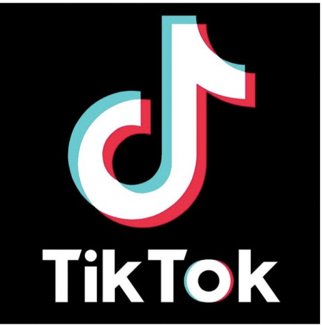 The Eagles Cry Top 8: Viral Categories on Tik Tok of 2020