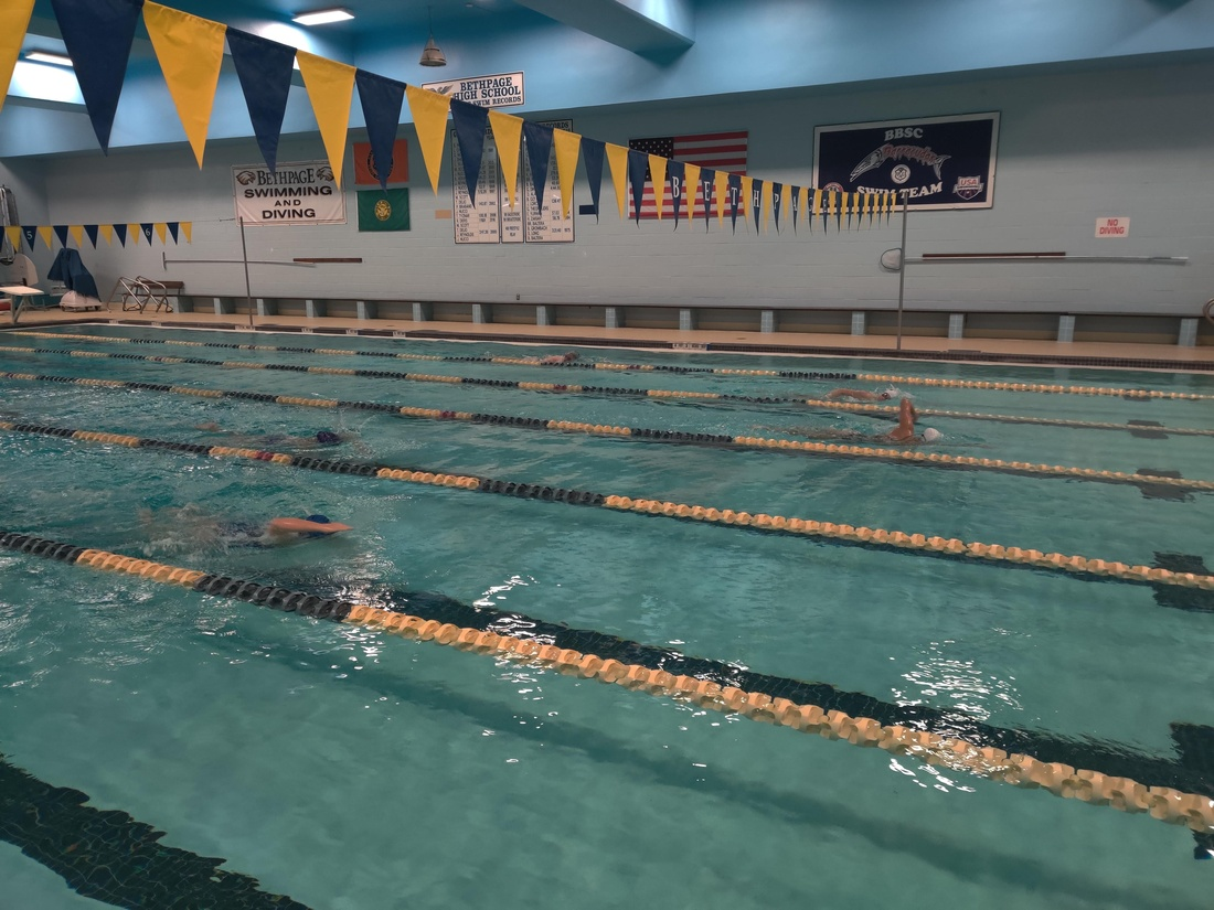 Sport Spotlight: Varsity Girls Swimming