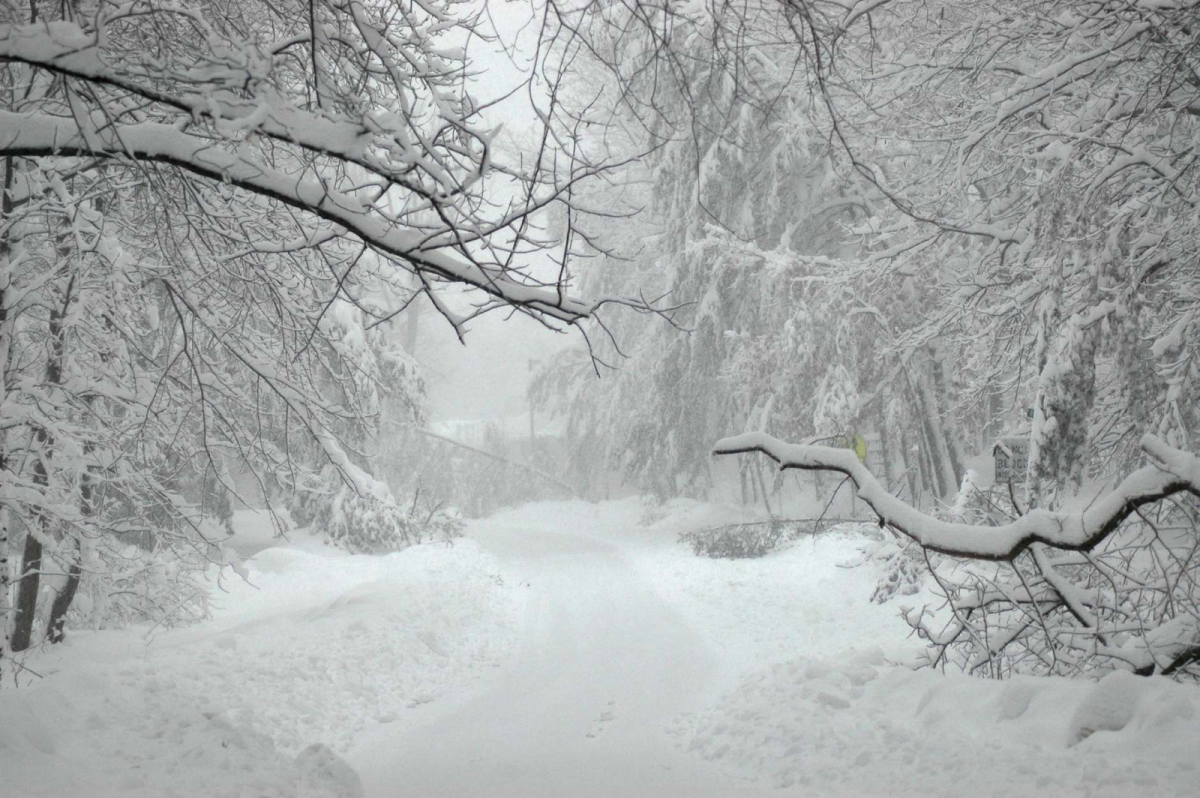 Bethpage Faced One of the Coldest Winters in Years